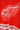 Detroit Red Wings / Chris Osgood #30